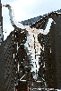 Click here to see the picture (misc_woa01_cow.jpg)