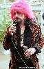 Click here to see the picture (misc_woa01_int.jpg)